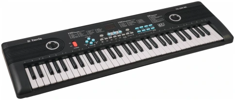 TERRIS TK-150 BK - Синтезатор фото 2