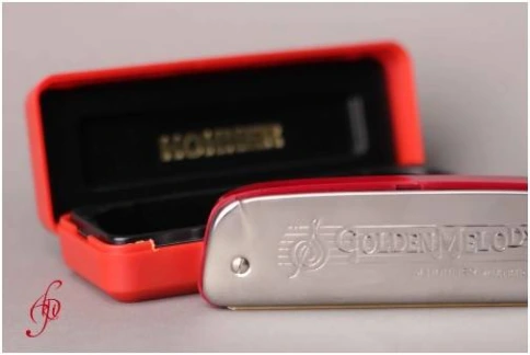 HOHNER Golden Melody 542/20 Eb (Доступ на 30 дней к бесплатным урокам) - Губная гармоника диатоническая фото 9