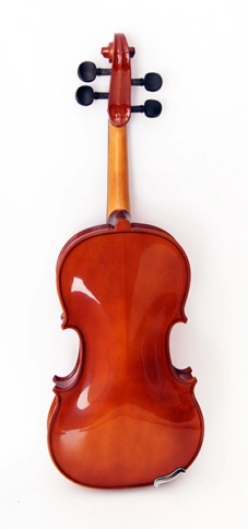 B15-1/4 Скрипка в футляре со смычком, Strunal фото 7