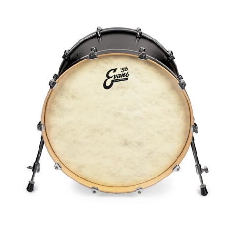 Пластик Evans BD20CT Calftone фото 2