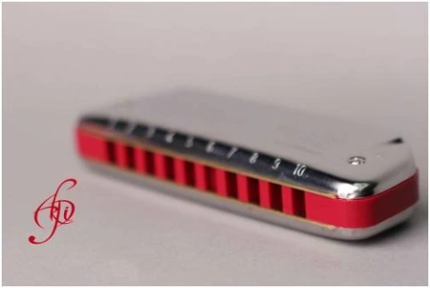 HOHNER Golden Melody 542/20 Eb (Доступ на 30 дней к бесплатным урокам) - Губная гармоника диатоническая фото 8