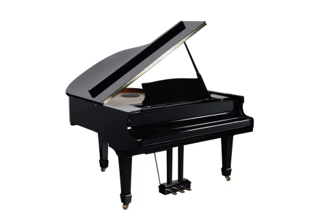 Цифровой рояль Medeli GP805 фото 5