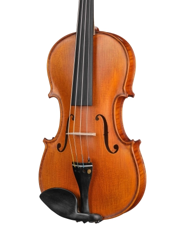 P-V044 Professional Gama Скрипка 4/4, Gliga фото 2