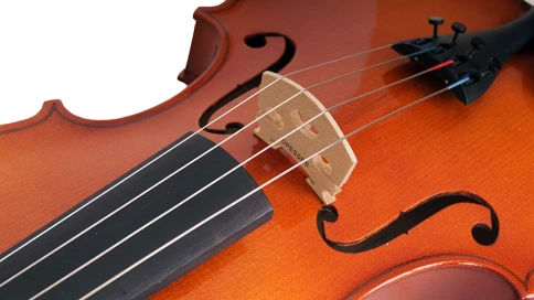 SET3/60-41 Альт 41см комплект с кейсом и смычком, Strunal фото 3