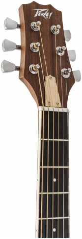 PEAVEY DW-2 CE Solid Top Cutaway w/Case - Гитара электроакустическая фото 5