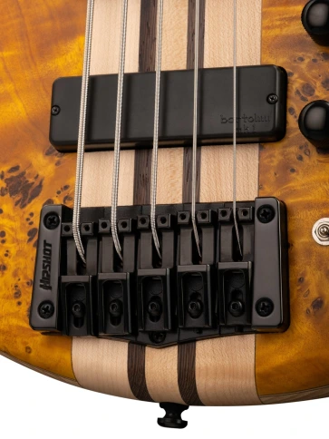 5-струнная бас-гитара Cort A5-Plus SC AOP Artisan Series фото 10