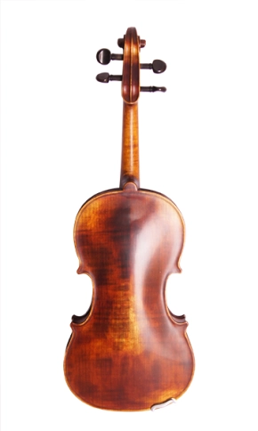 194-4/4 Pienza Скрипка концертная 4/4, Strunal фото 3