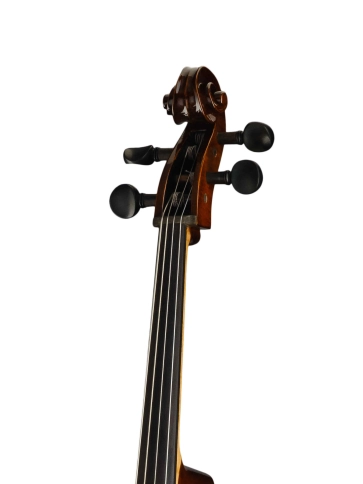 4/4we-4/4 Виолончель полупрофессиональная, Strunal фото 3