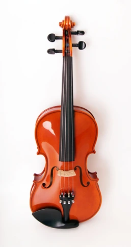 920-4/4 Скрипка студенческая 4/4 Strunal фото 1