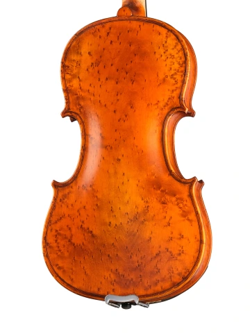 P-V044-OB Proffesional Gama OPB Birds Eye Скрипка 4/4, Gliga фото 6