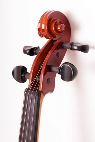 16w-4/4 Скрипка студенческая 4/4 Strunal фото 2