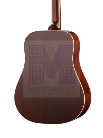 W12205-NAT Standart Western Акустическая гитара 12-струнная Hora фото 5