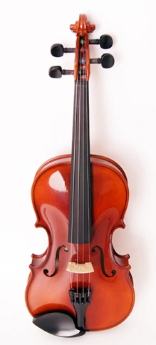 B15-1/8 Скрипка в футляре со смычком, Strunal фото 7