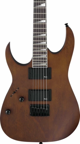 Электрогитара Ibanez GRG121DXL-WNF фото 4