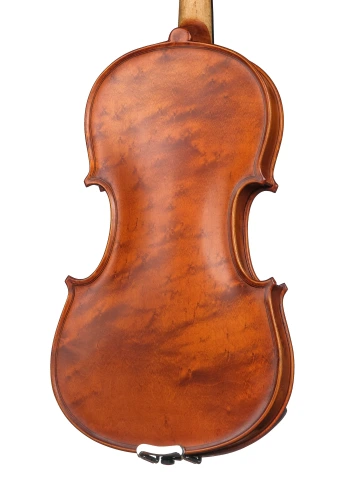 AW-V044-OB Workshop Gems 1 OPB Birds Eye Скрипка 4/4, Gliga фото 5