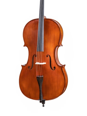 AW-C044 Workshop Gems 1 Виолончель 4/4, Gliga фото 2