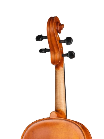 S-V165 Student Genial 1 Oil Альт, Gliga фото 6