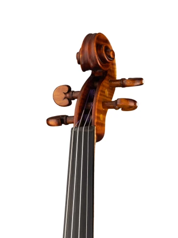 PG-V044-A Professional Gama Genova Скрипка 4/4, Gliga фото 2