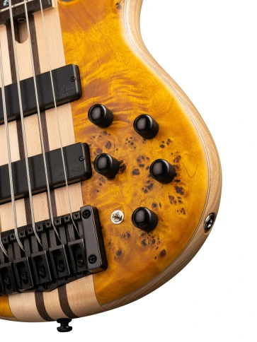 5-струнная бас-гитара Cort A5-Plus SC AOP Artisan Series фото 4