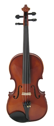 2050 Скрипка концертная 4/4 Strunal фото 1