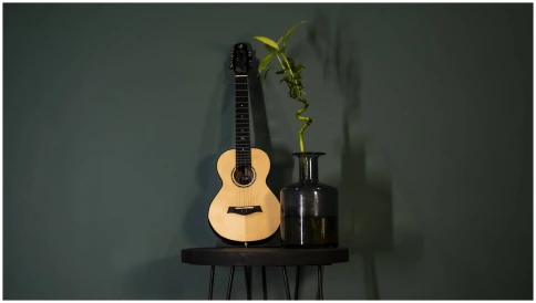FLIGHT VOYAGER TENOR EQ-A - Укулеле тенор фото 12