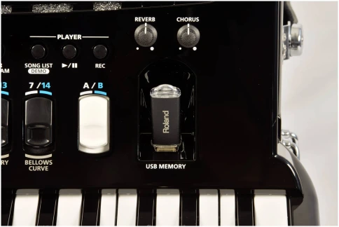 ROLAND FR-4X BK - Аккордеон фото 5