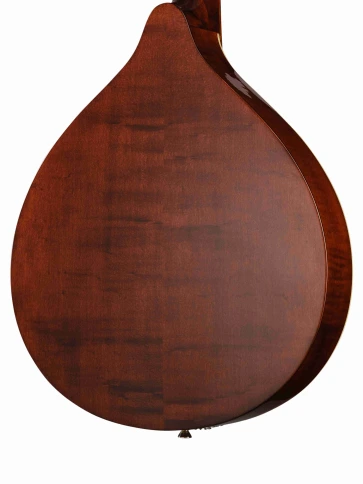 M1088 RgII Мандола Hora фото 6