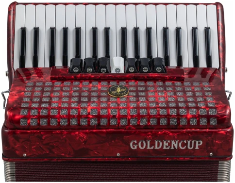 GOLDEN CUP JH2021 RD - Аккордеон 3/4 фото 3