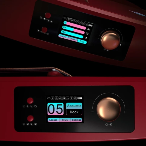 Трансакустическая гитара Enya NEXG 2N/RD фото 6