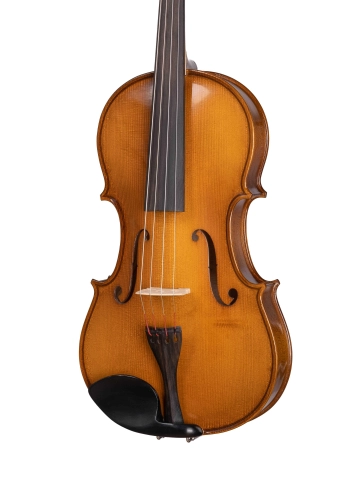 B-V165 Beginer Genial 2 Nitro Альт, Gliga фото 2