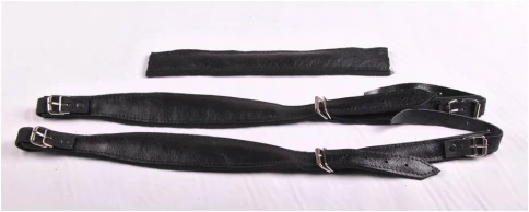 SOLO SBC 2 - Аксессуары для баянов, аккордеонов, гармоней фото 1