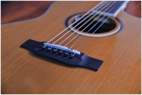 CRAFTER MIND W PRESTIGE ROSE Gce VVS - Гитара электроакустическая фото 6