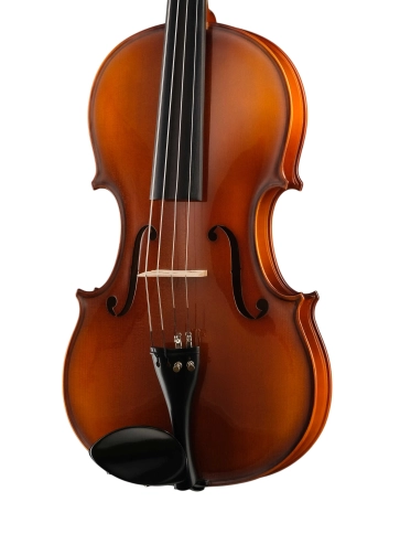 A100-16,5 Rhapsody Student Альт студенческий, Hora фото 3