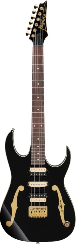 Электрогитара IBANEZ PGM50-BK фото 1