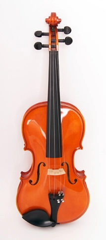 1750-4/4 Скрипка концертная 4/4 Strunal фото 1