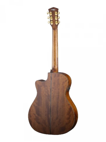 Электро-акустическая гитара Cort Gold A6 WCASE NAT фото 2