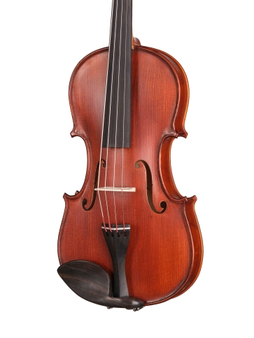 I-V044-B Intermediate Gems 2 Birds Eye Скрипка 4/4, Gliga фото 2