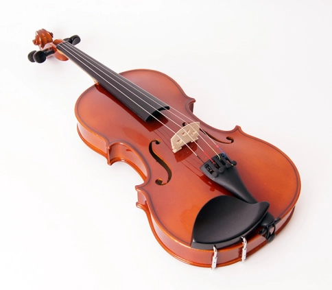 150-4/4 Скрипка студенческая Strunal фото 5