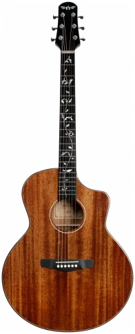 NEBULA Vitalis JC 41 Natural - Гитара акустическая шестиструнная фото 1