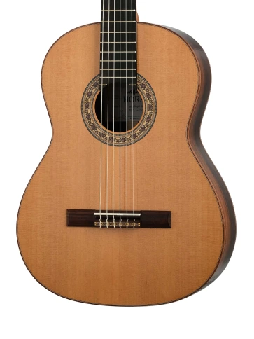 N1014 SM20 Regun Классическая гитара Hora фото 3