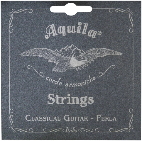 FLIGHT C-110 AC 4/4 dPACK 1 - Гитара классическая (набор) 4/4 фото 5