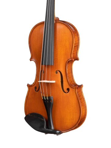 AW-V034 Workshop Gems 1 Скрипка 3/4, Gliga фото 2