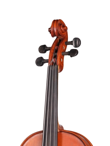 S-V155 Student Genial 1 Oil Альт, Gliga фото 3