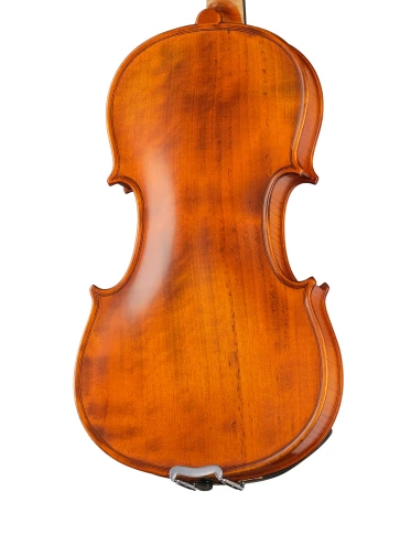 PU-V044-GI Professional Gama Unique Willow Скрипка 4/4, Gliga фото 6