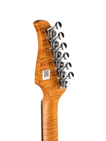 Электрогитара с процессором эффектов GTRS P800-Professional-800-DN фото 11