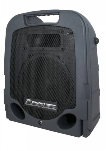 PEAVEY Escort 6000 акустический комплект  фото 2