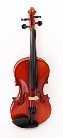 16w-4/4 Скрипка студенческая 4/4 Strunal фото 1