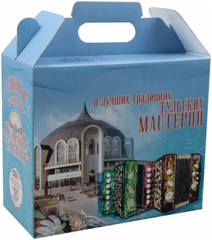 ТУЛЬСКАЯ ГАРМОНЬ ГН-25 BL - Гармонь 1-голосная фото 2