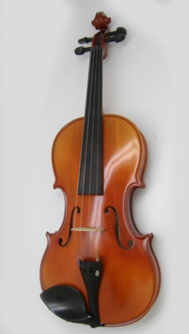 22wA-3/4 Скрипка студенческая Strunal фото 1