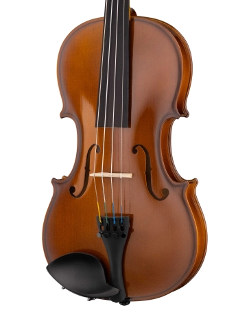 160A-4/4 Siena Скрипка студенческая 4/4, Strunal фото 3